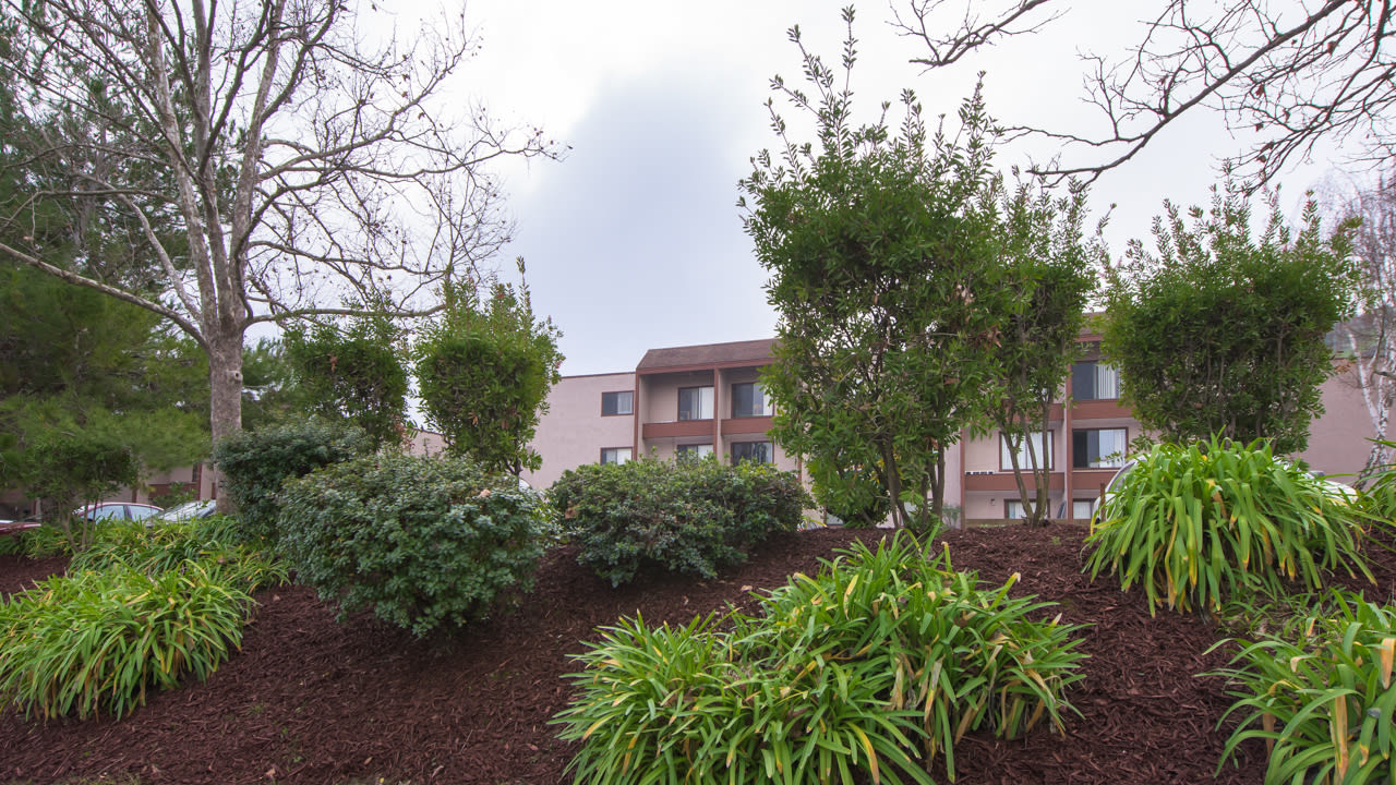Martinez Hillside Image 11