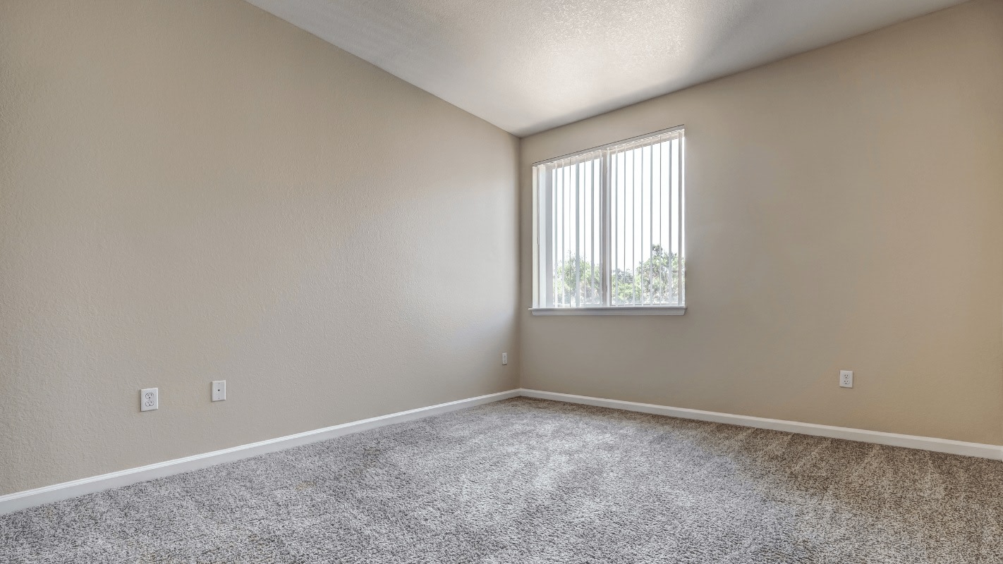 The Berkeley Image 17