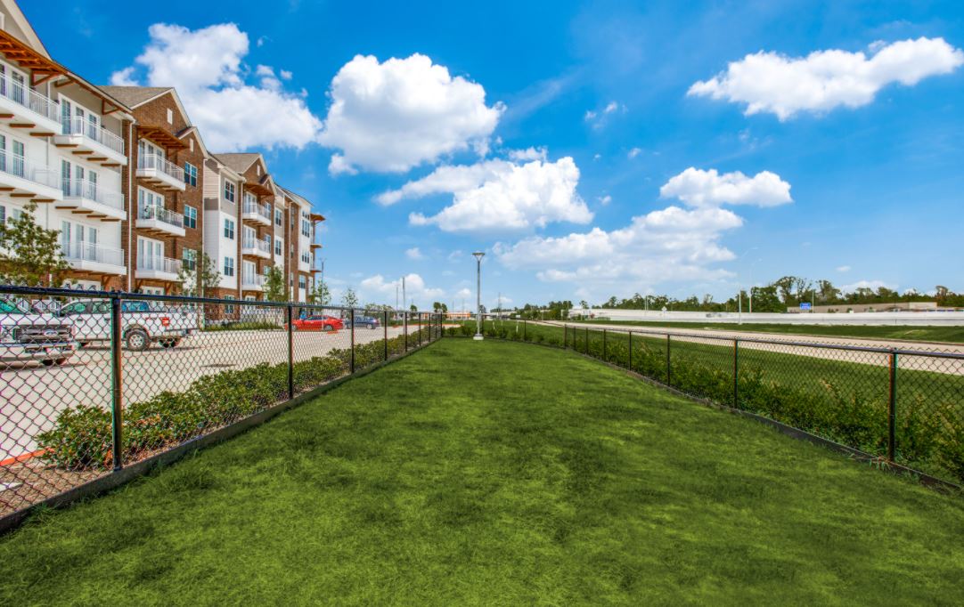 255 Assay Luxury Apartments Image 4