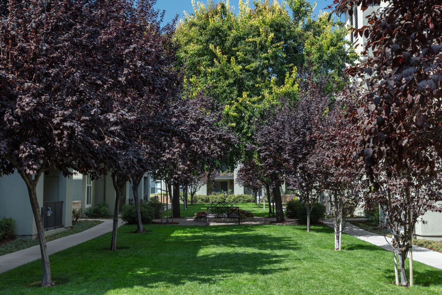 Villa Torino Image 16