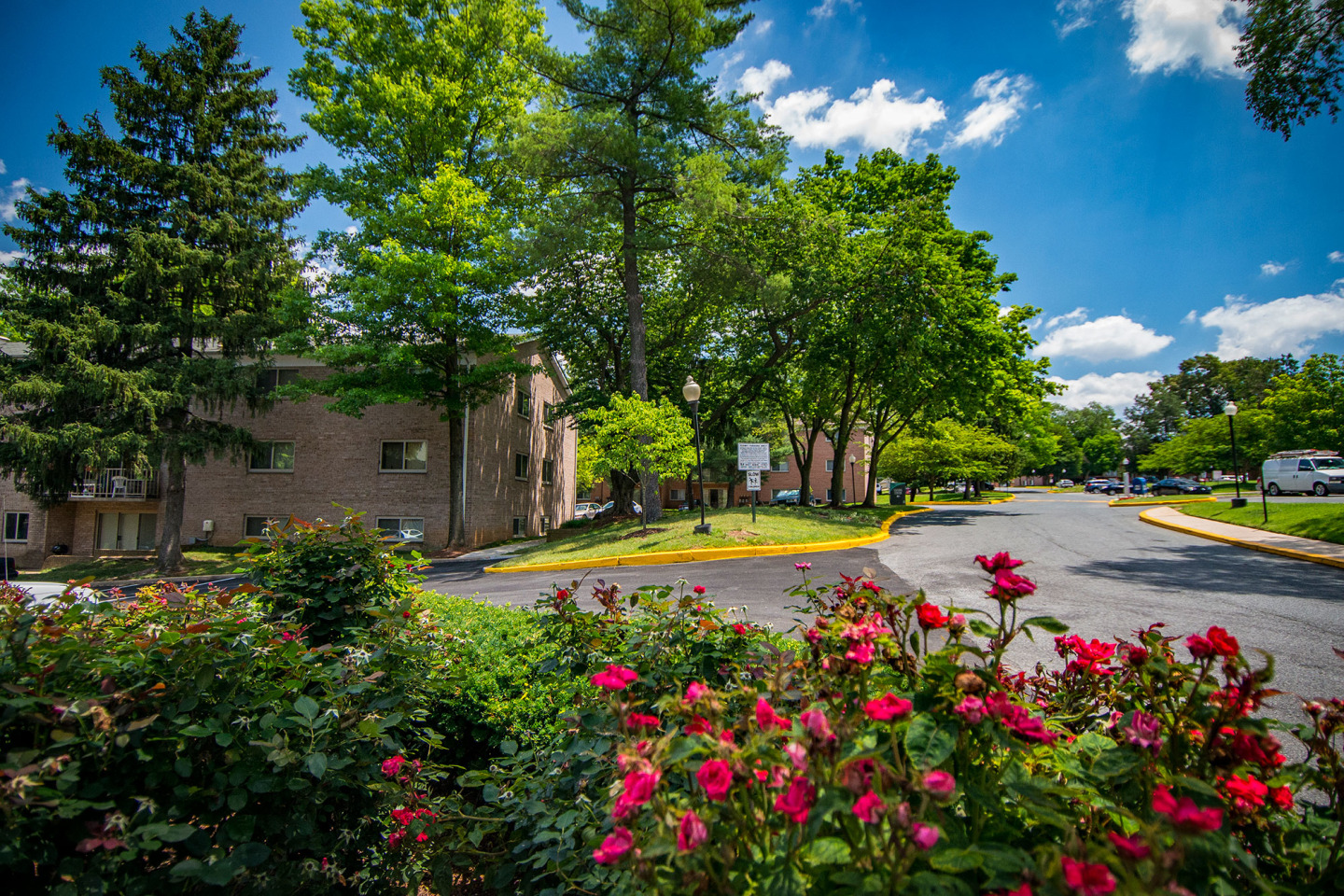 Spring Ridge Apartments Image 7