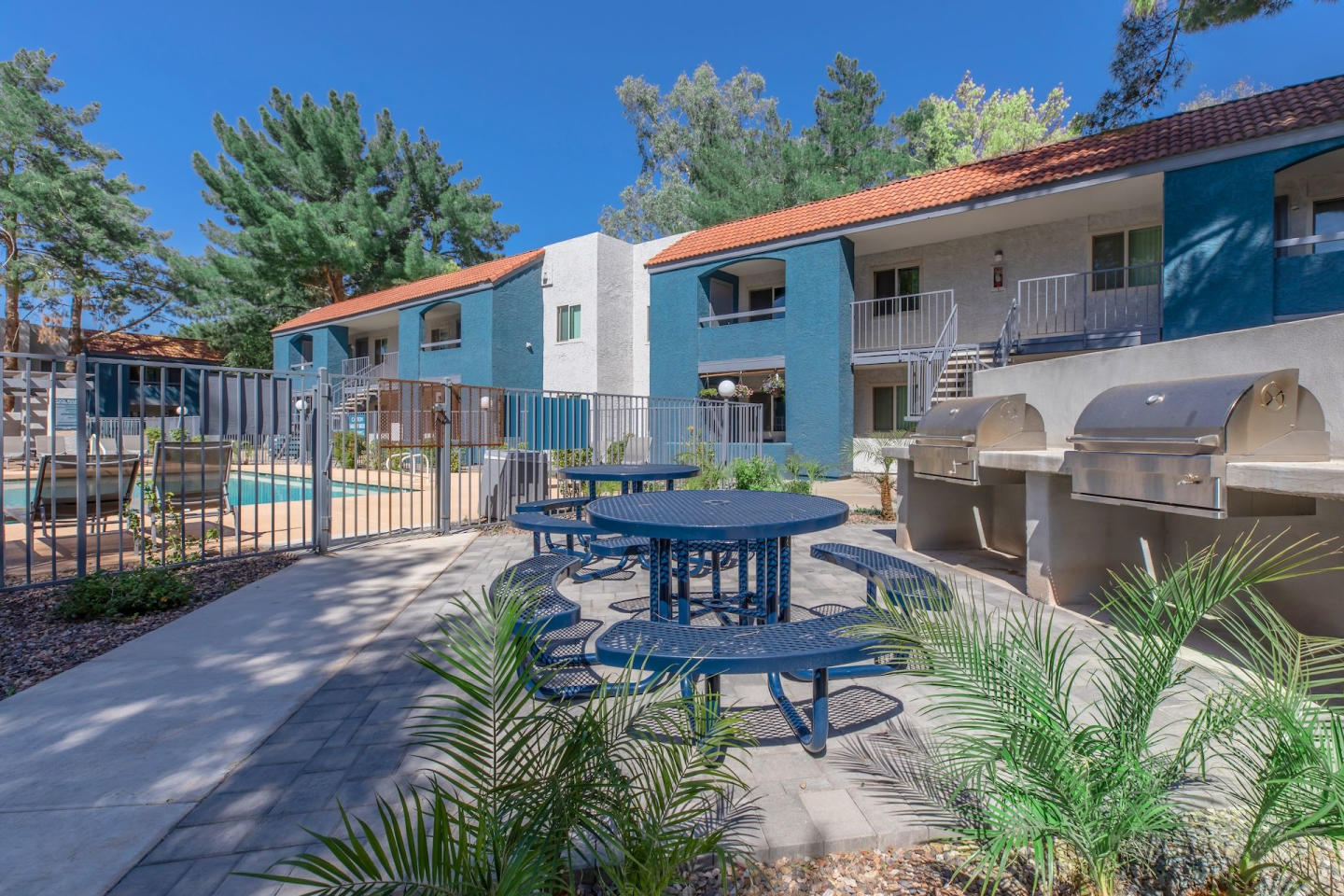 Gilbert Greens Image 6