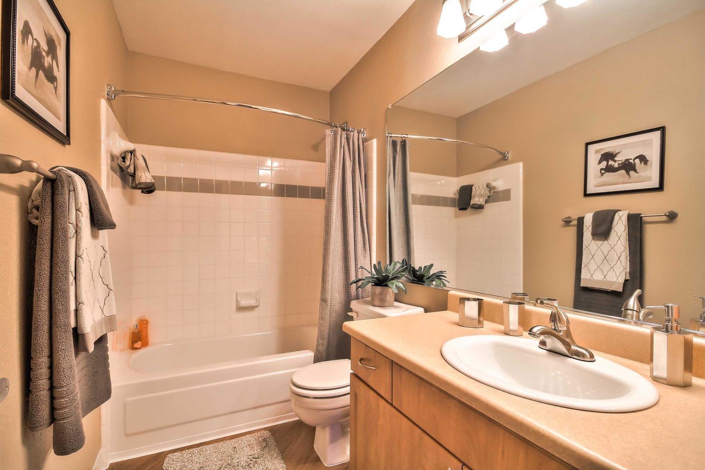 Rosemeade Apartment Homes Image 34