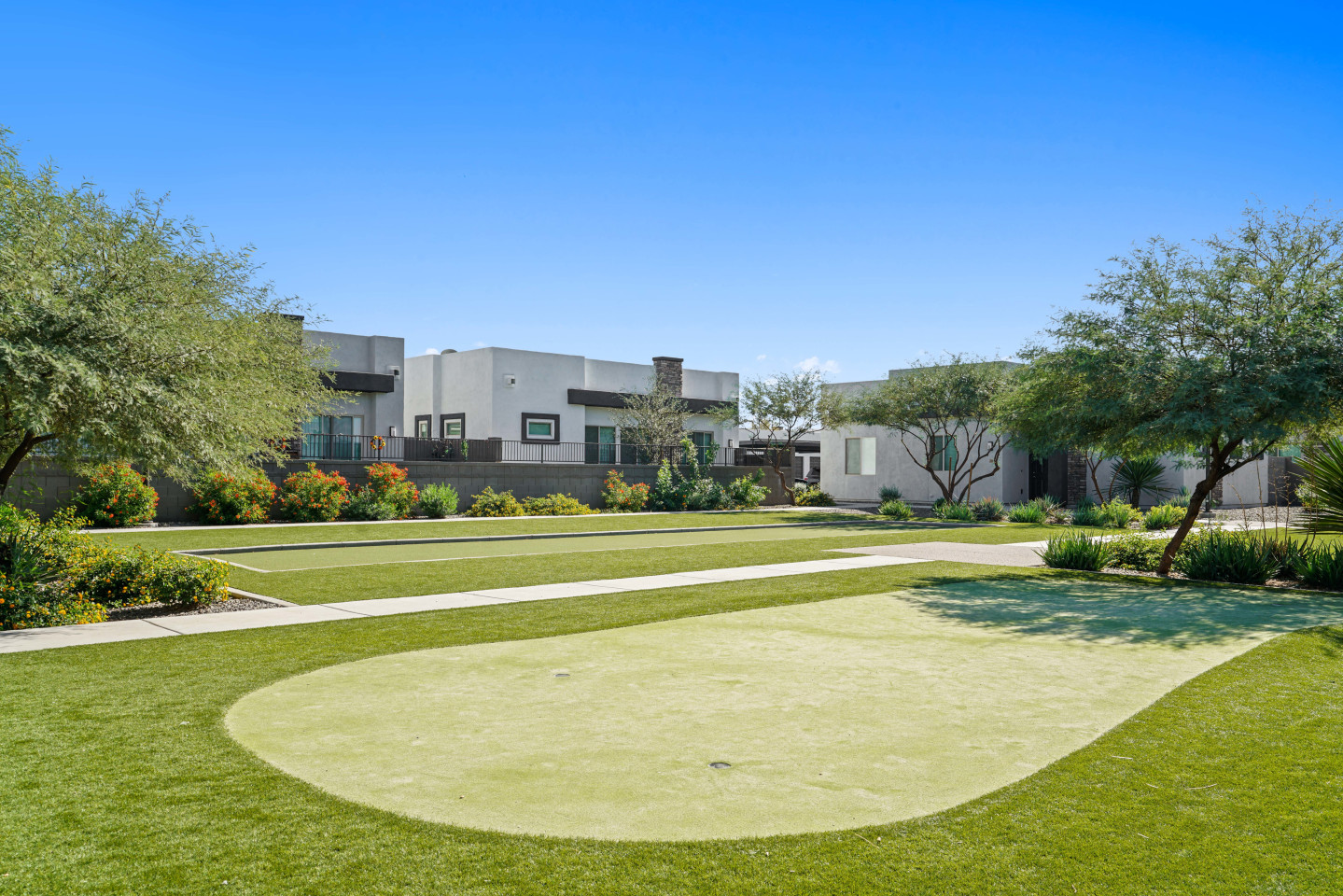 Olive Queen Creek Image 29