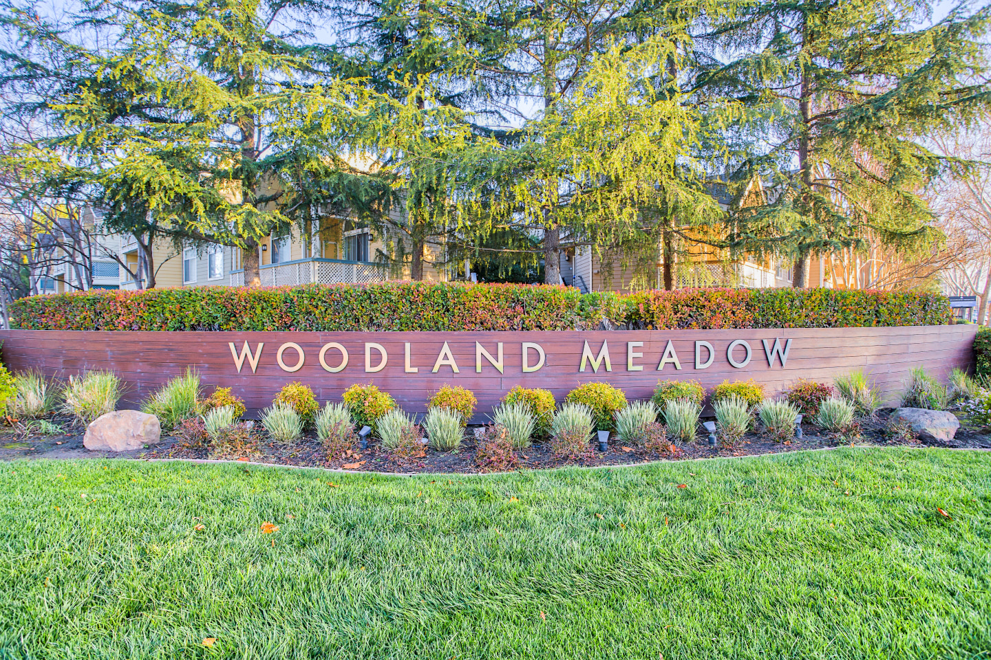 Woodland Meadow Image 39