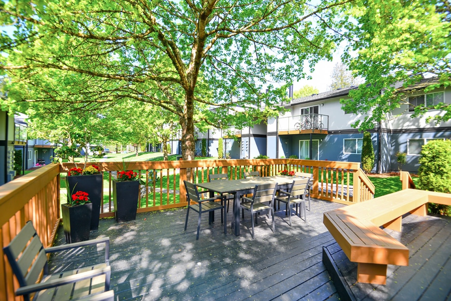 Tessera Apartments Image 35