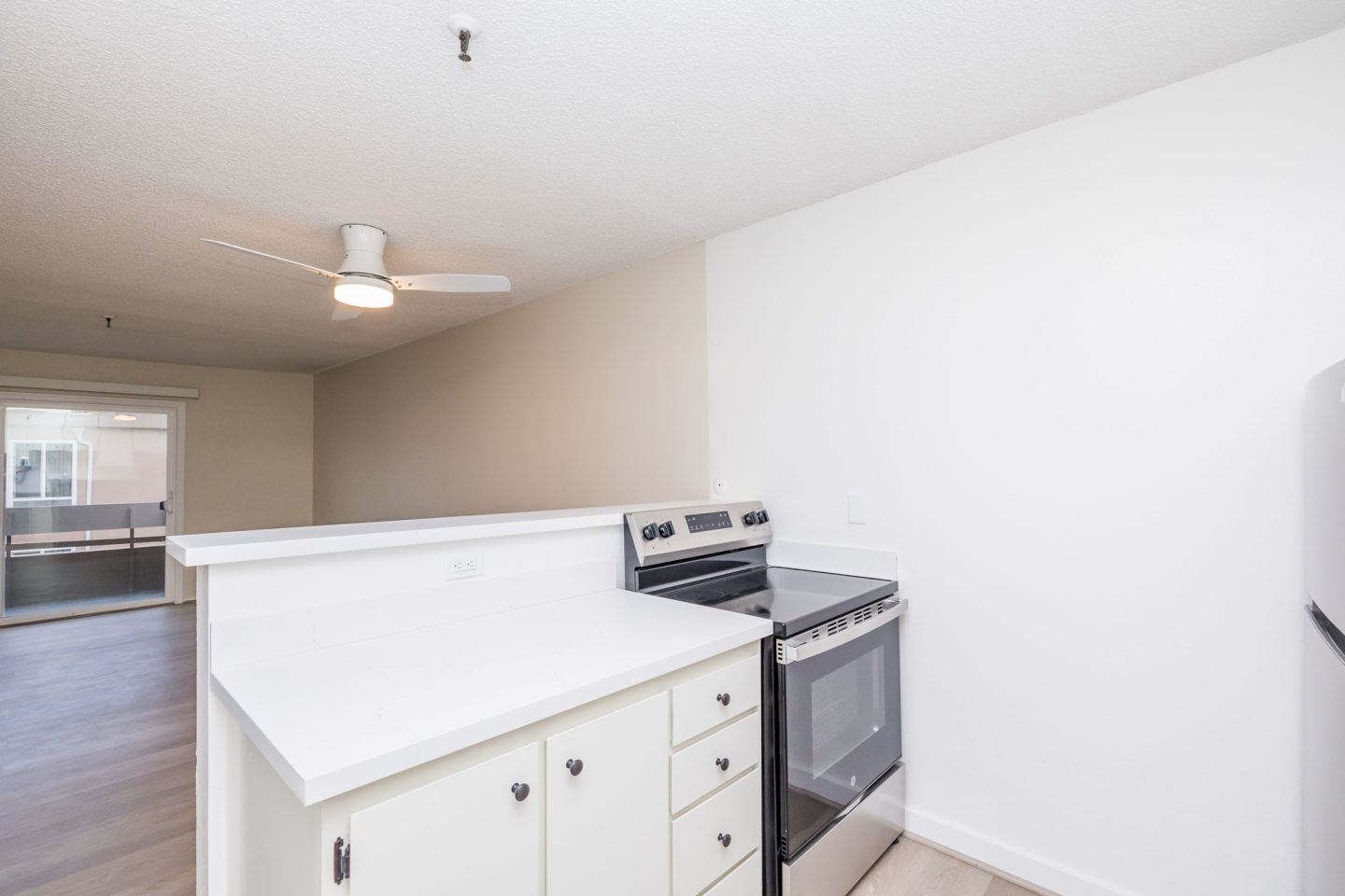 257 Vernon Apartments Image 6