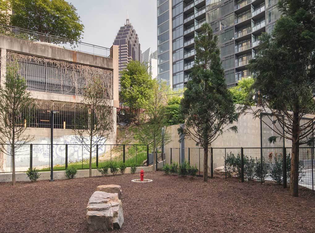 AMLI Arts Center Image 27