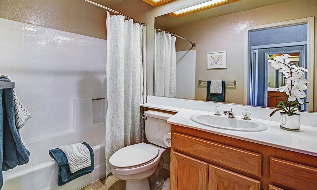 Sofi Canyon Hills Image 9