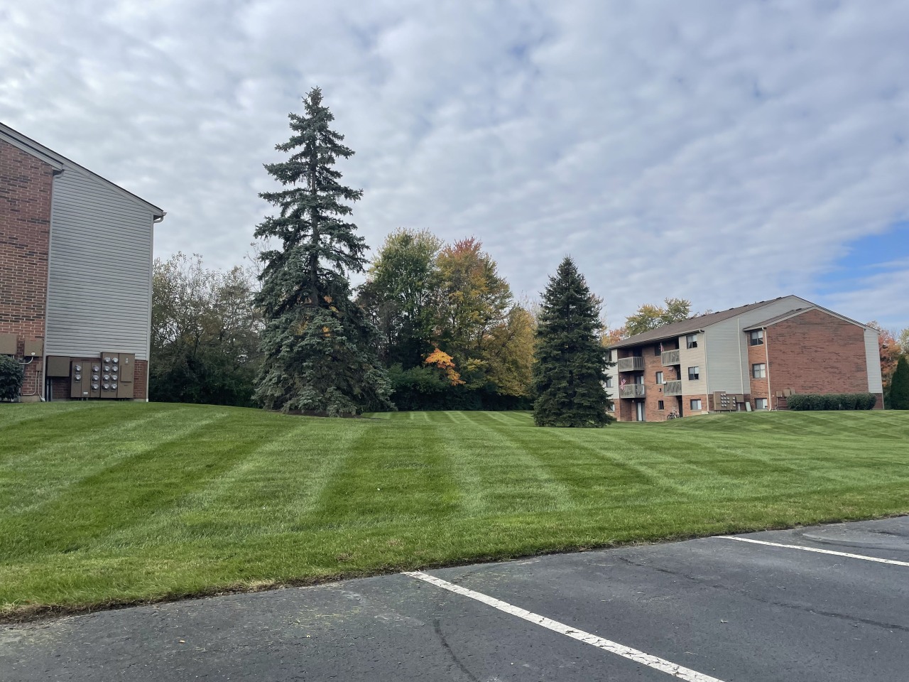 Timber Glen Apts Image 59