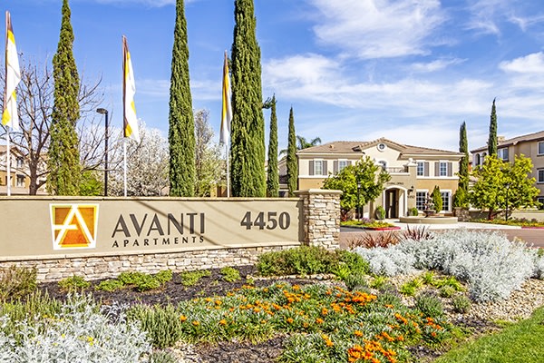 Avanti Image 24