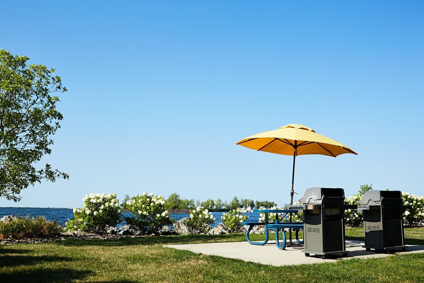 The Shoreline Apartments Image 25