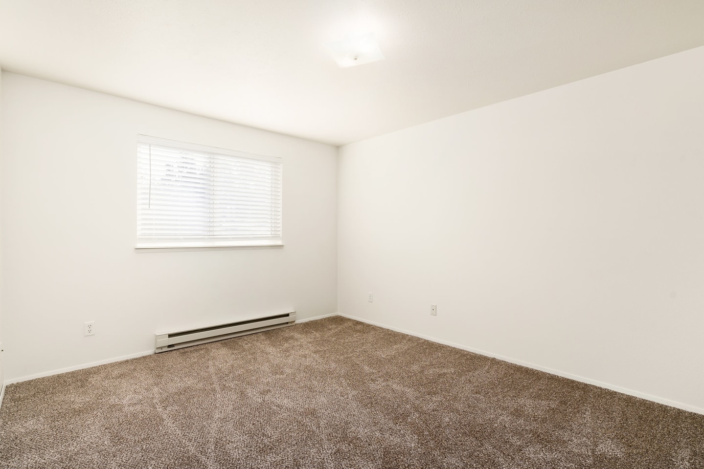 Clearwater Image 20