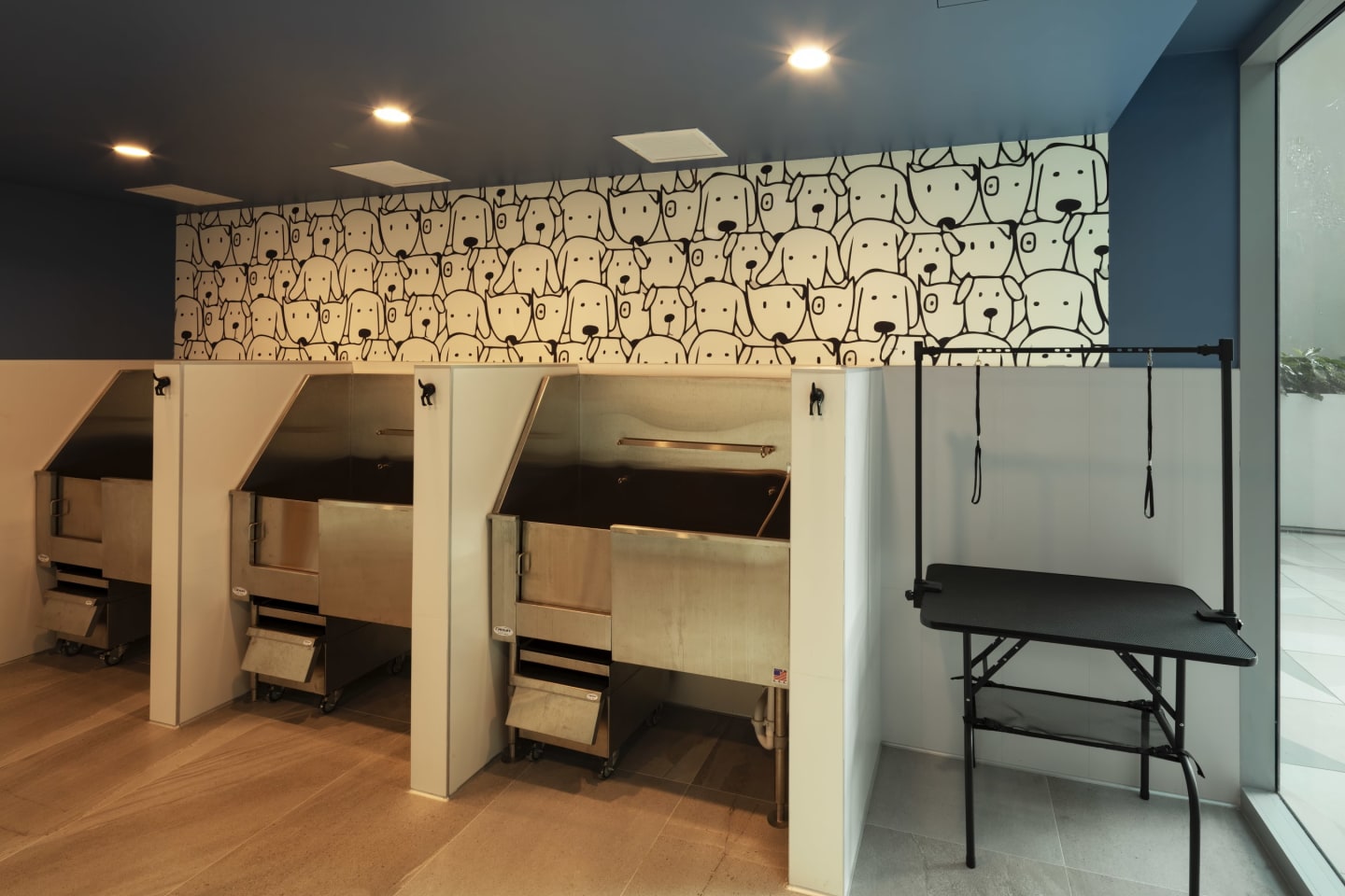 Ascent at Metropolitan Naples Image 28