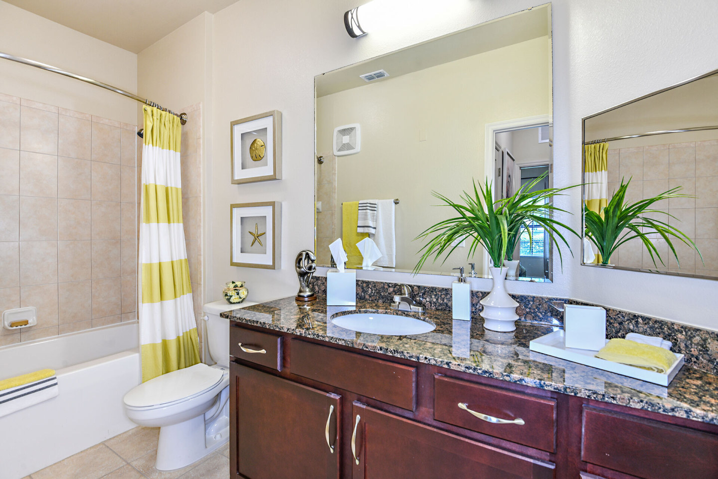 Sanctuary at Eagle Creek Apartments Image 7