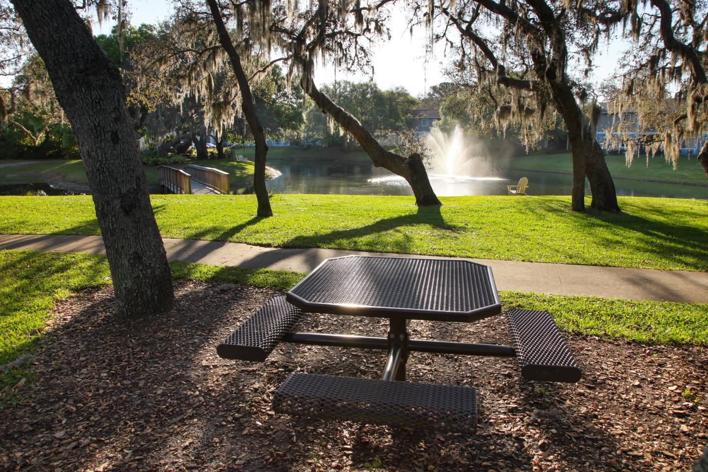 Agora at Port Richey Image 19