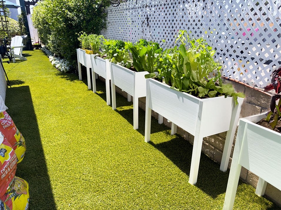 Corbin Terrace Image 17