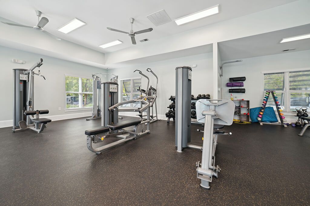 The Apartments at Shade Tree Image 1
