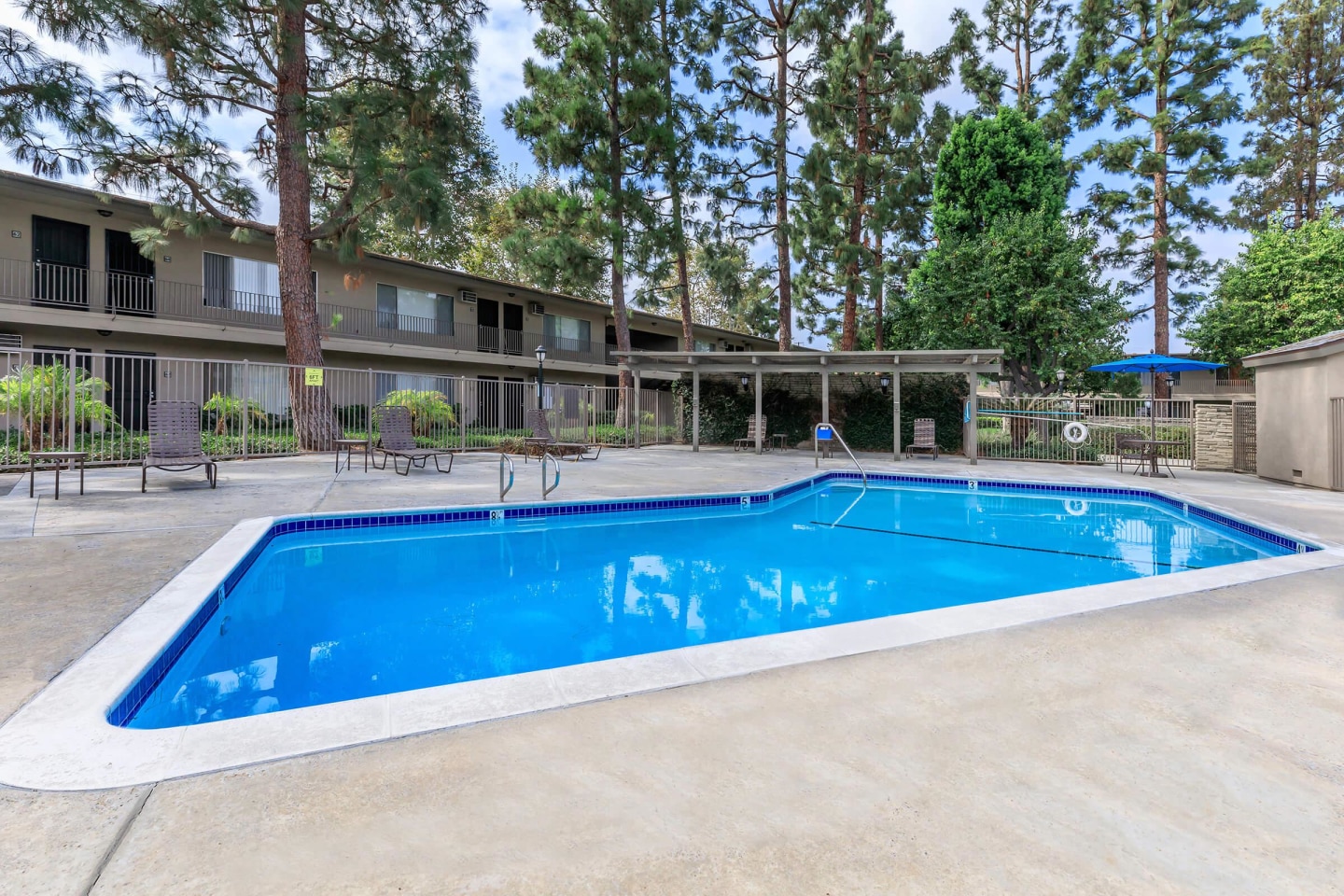 Saddleback Pines Image 16
