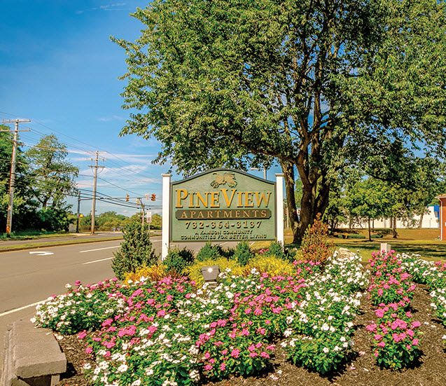 Pineview Image 1