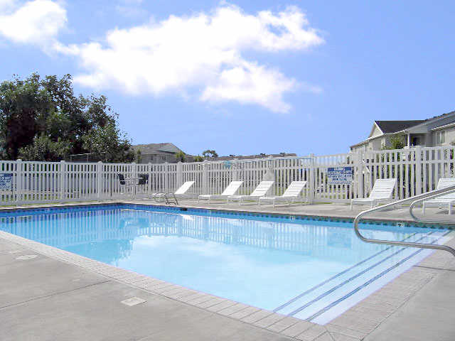Thorneberry Apartments Image 13