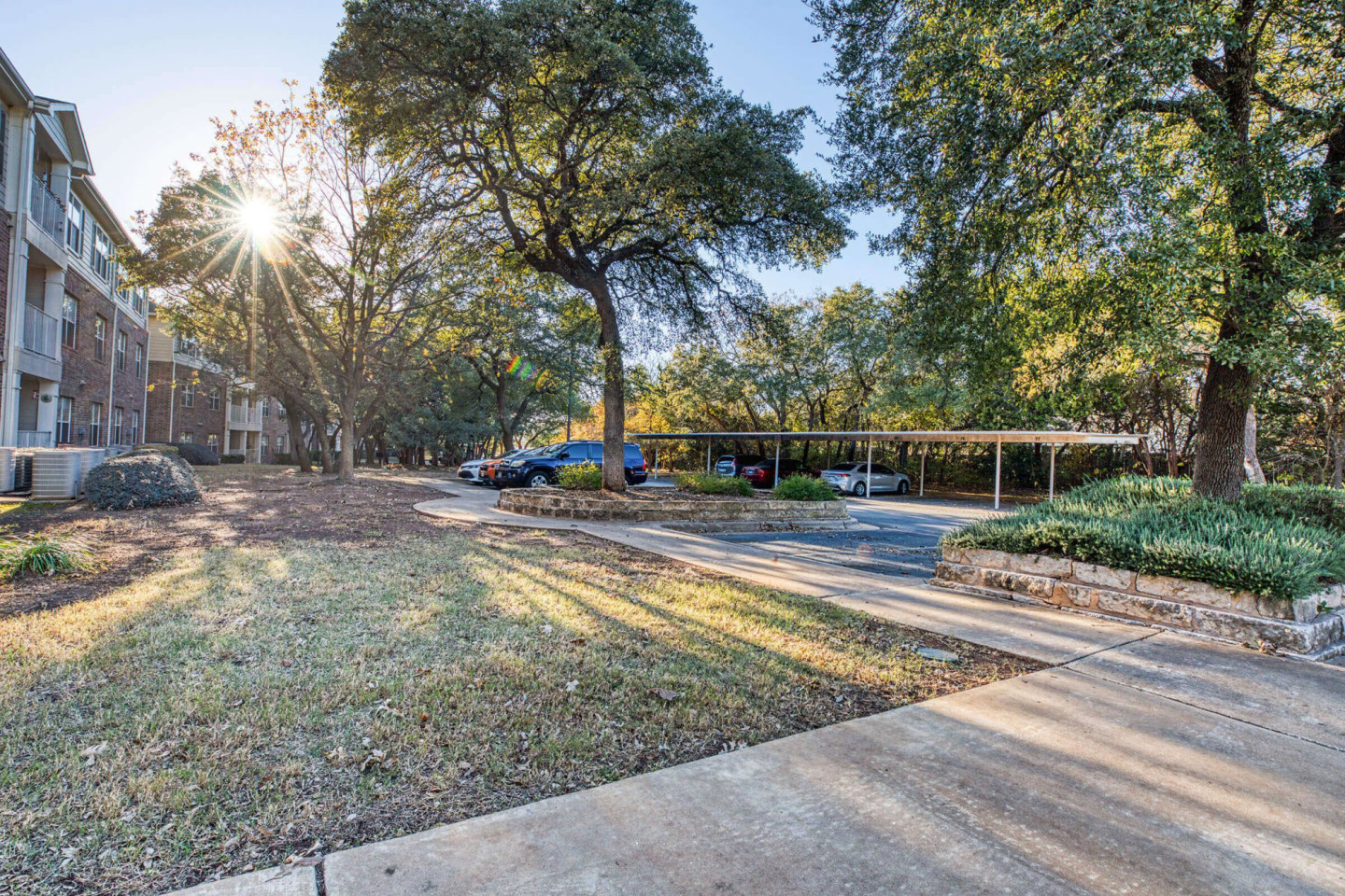 Mariposa at Cedar Park Active Adult 55+ Apartment Homes Image 22