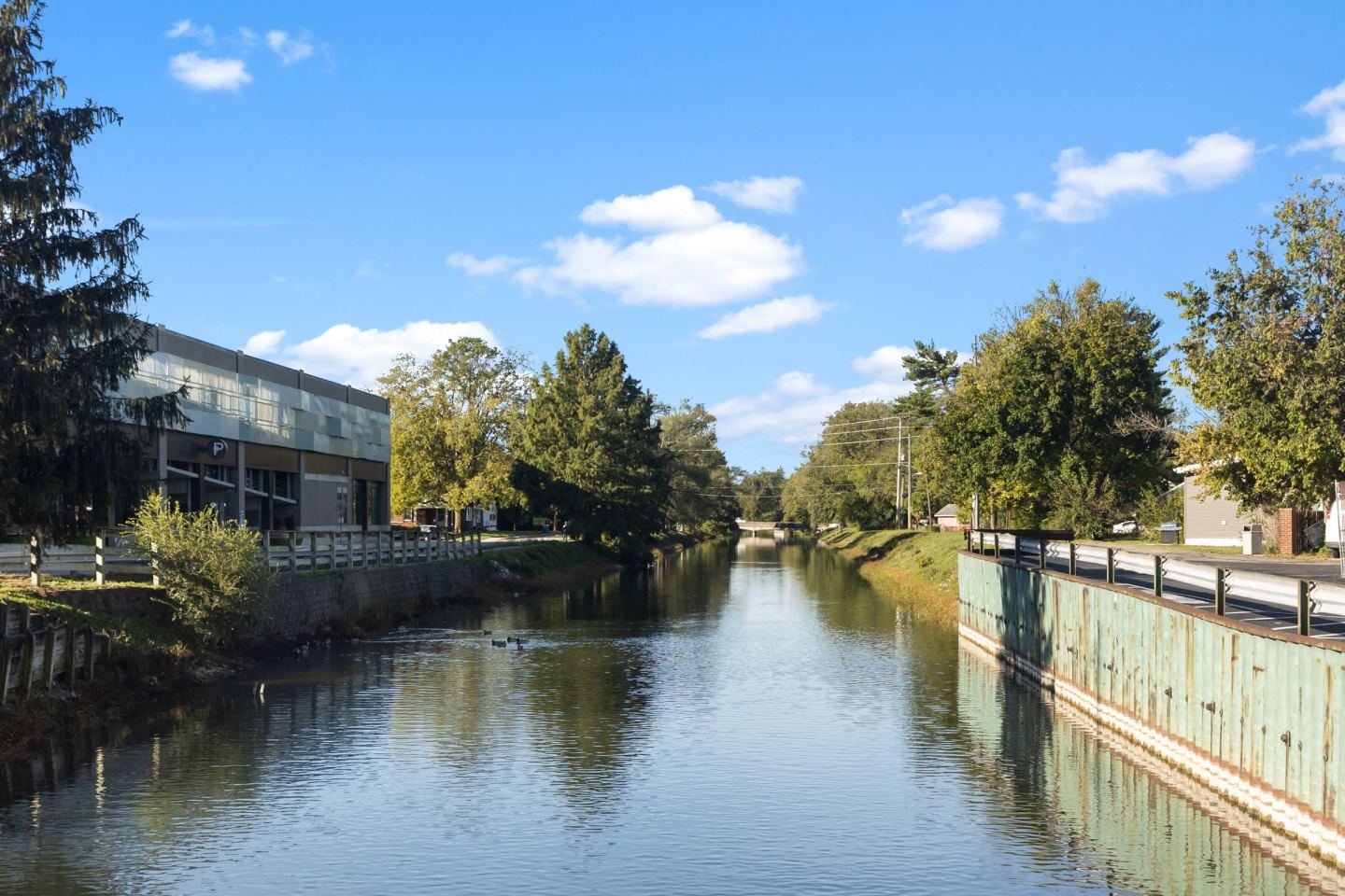 Monon Living Image 112