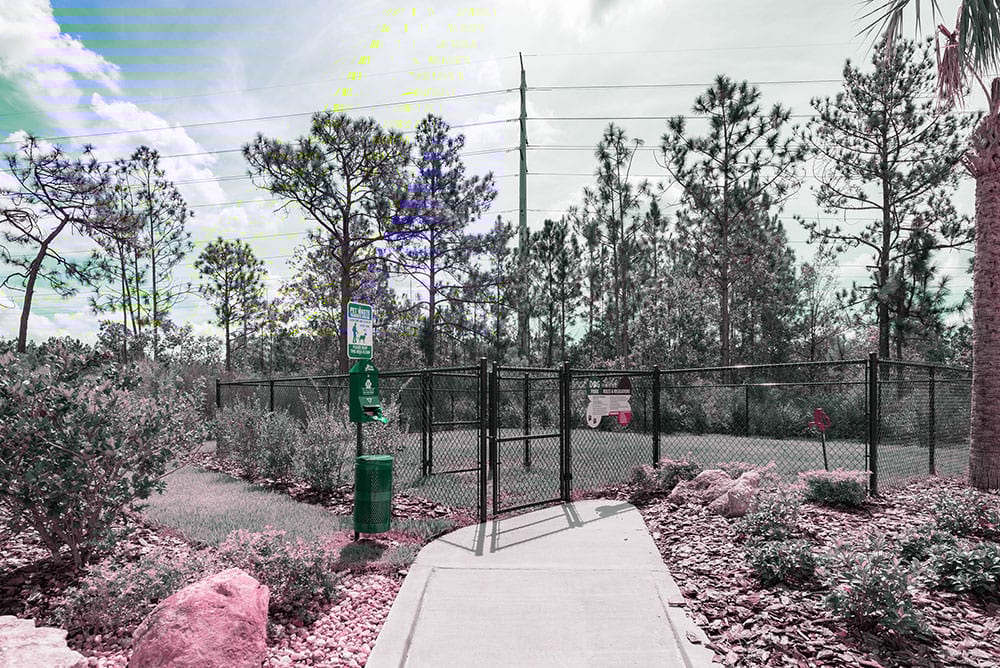 Cortland World Gateway Image 20