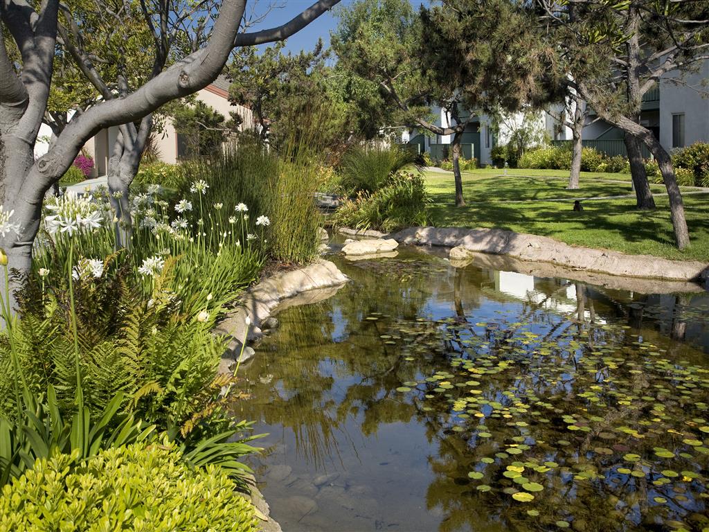 Pacific Oaks Image 20