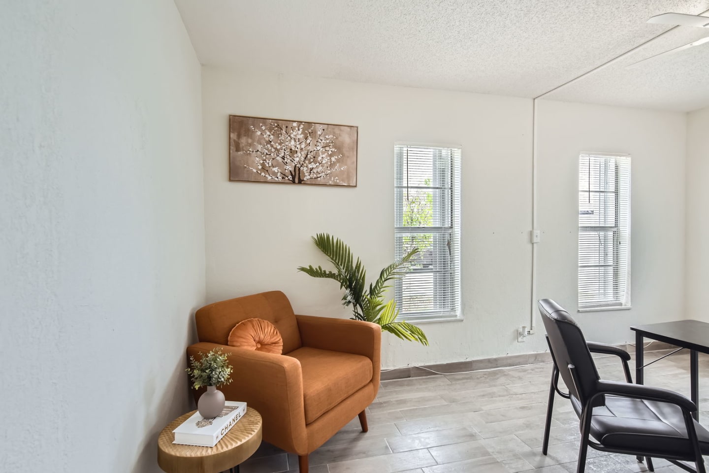 San Marco Apartments Image 5