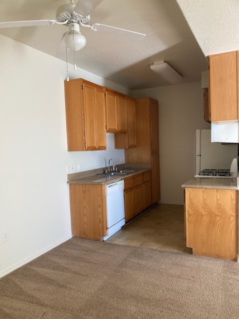Coral Palms Condominiums Image 6
