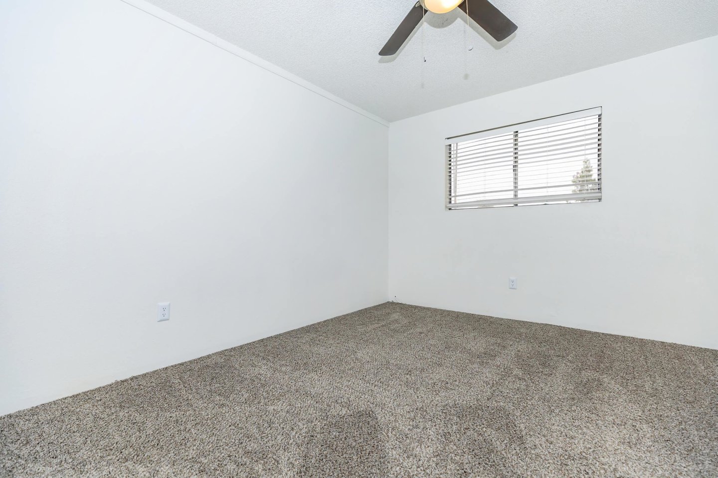 Palisade Park Image 18