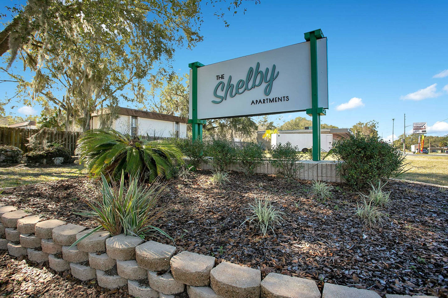 The Shelby Image 6