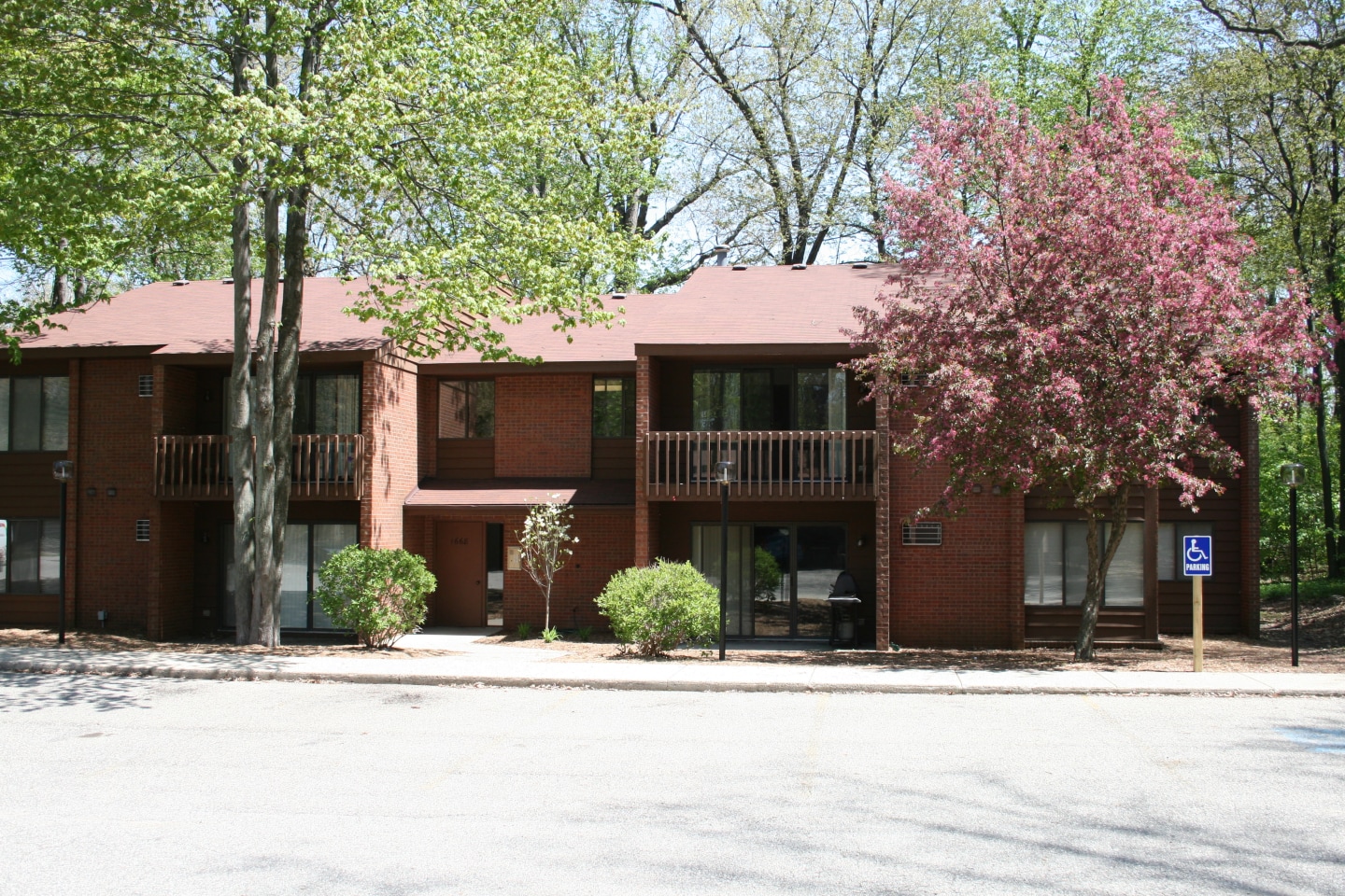 Deer View Image 34