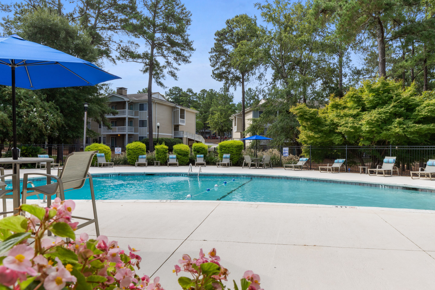 Wellspring Image 20