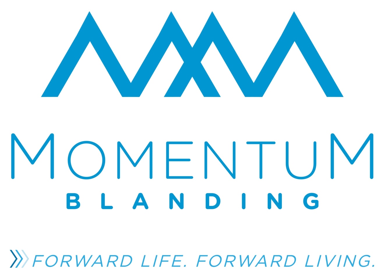 Momentum Blanding Image 15