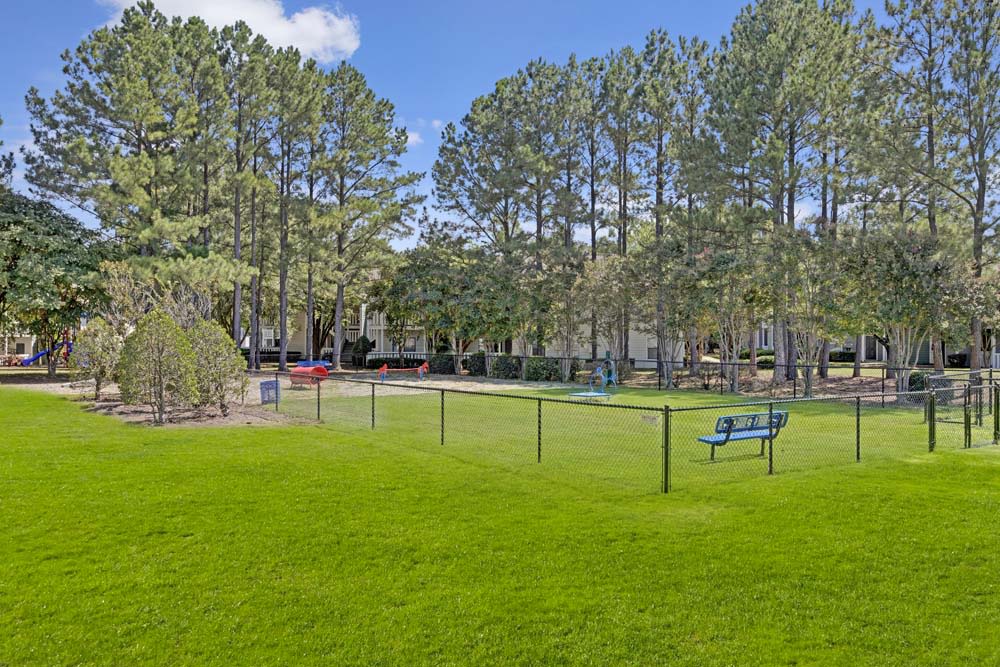 Harlowe Apartments Image 18