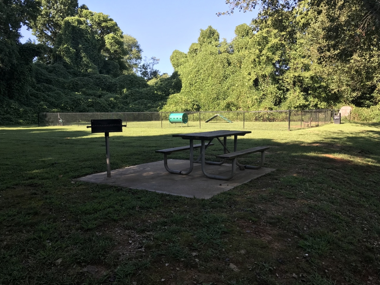 Goldelm at Cedar Bluff Image 15