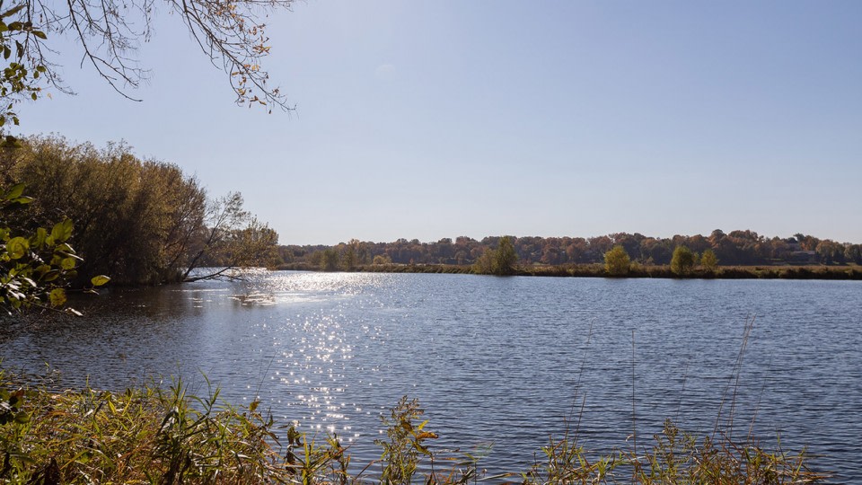 ReNew at Neill Lake Image 27