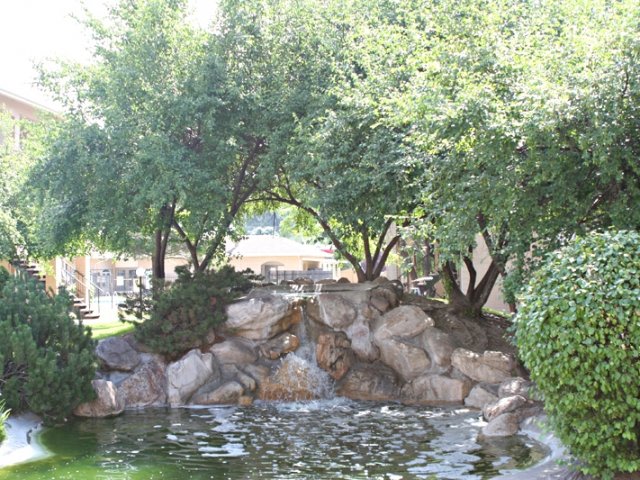 Lost Creek Apartments Image 18