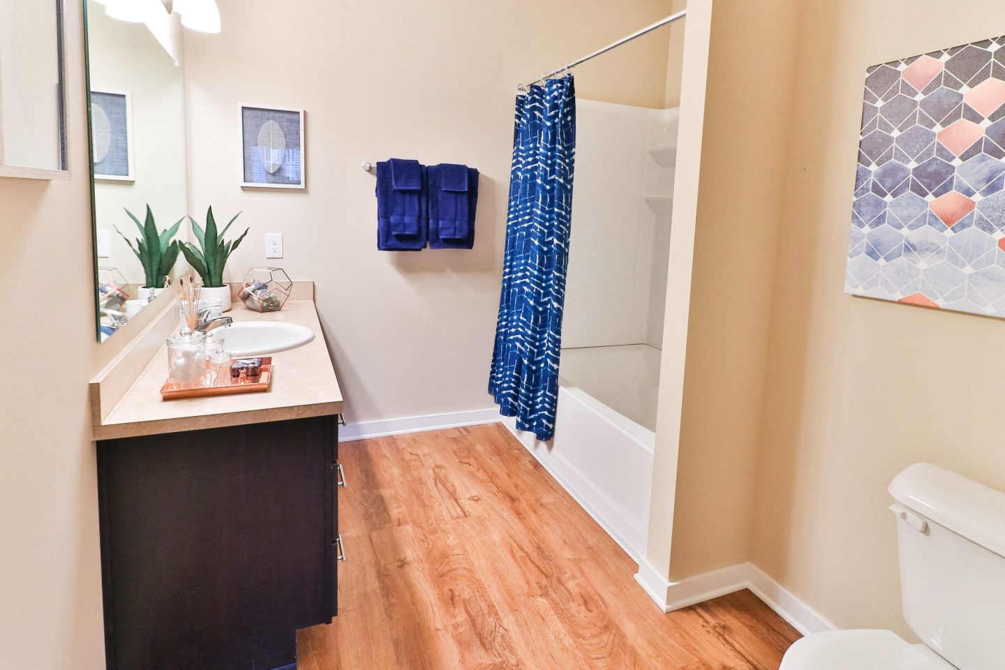 The Fenimore Phase II Image 14