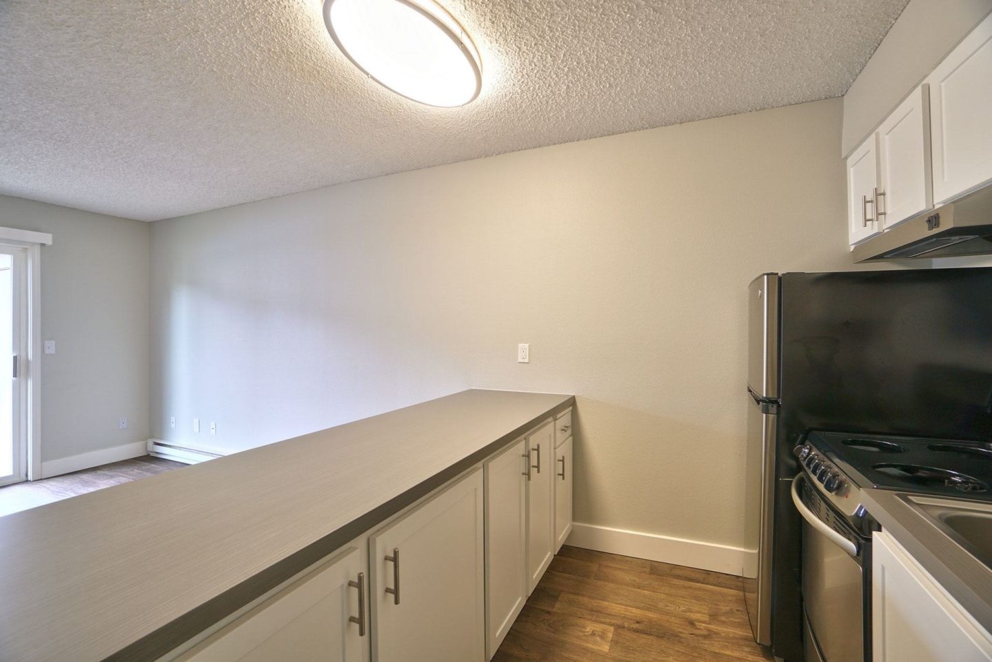 The Zimmer Image 4