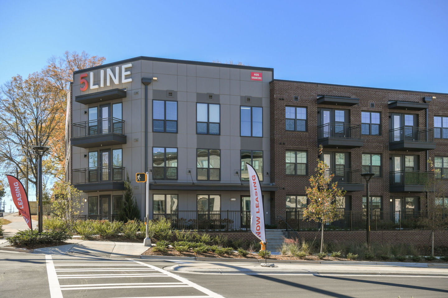 5Line Image 1