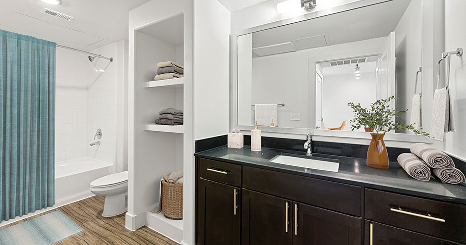 The Standard at Domain Northside Apartments Image 15