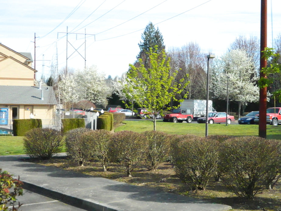 Springwater Trail Image 3