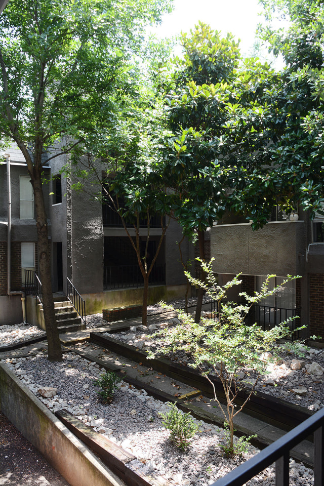 San Mateo Forest Apartments Image 22