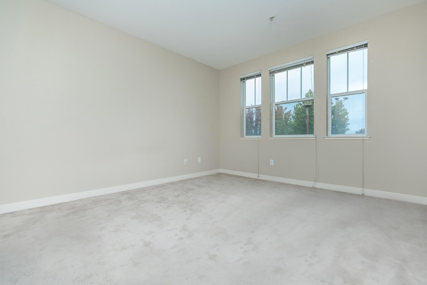 Oak Walk Image 64