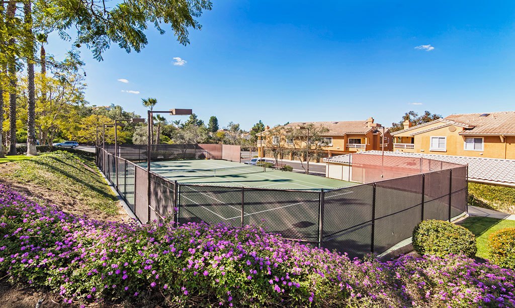 Sofi Canyon Hills Image 23