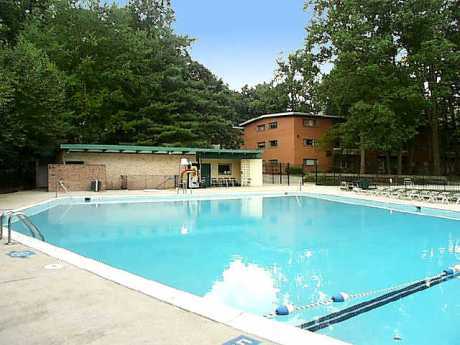 Glenmont Forest Apartments Image 21