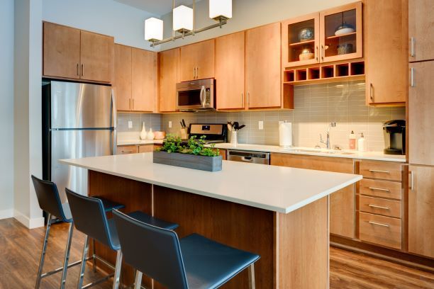 The Island Residences at Carlson Center Image 4